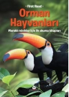 Orman Hayvanları