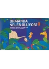 Ormanda Neler Oluyor?