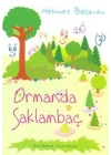 Ormanda Saklambaç
