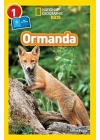 Ormanda - Seviye 1