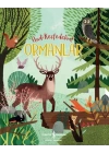 Ormanlar - Hadi Keşfedelim!
