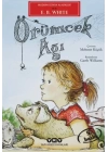 Örümcek Ağı
