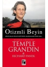 Otizmli Beyin