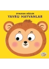 Oynayan Gözler Yavru Hayvanlar