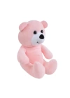 Peluş Ayı Oyuncak 20 cm Pembe