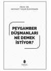 Peygamber düşmanları ne demek istiyor?