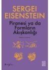 Piranesi ya da Formların Akışkanlığı