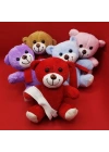 Renkli Peluş Ayıcık