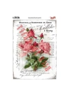 Rich 6336 Vintage Kolay Transfer 23x33 cm