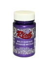 Rich Multi Surface Titanium 2558 Mor Metalik 90 cc