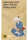 Sâib-i Tebrîzî Dîvânı Şerhi