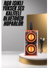 Şeffaf Taşınabilir Bluetooth Hoparlör Uzun Ömürlü Çift Hoparlörlü