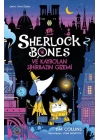 Sherlock Bones ve Kaybolan Sihirbazın Gizemi
