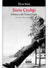 Şiirin Çizdiği - Edebiyat Ve Şiir Üzerine Yazılar