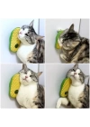 Silikon Kaşıyıcılı Kedi Otu