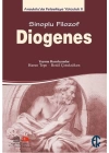 Sinoplu Filozof Diogenes