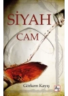 Siyah Cam