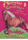 Sorular Ve Cevaplar Kart Atlar Ve Poniler