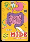 Süper Mide Ve Sindirim Sistemi