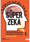 Süper Zekâ - Yapay Zekâ Uygulamaları, Tehlikeler Ve Stratejiler