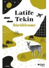 Sürüklenme