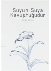 Suyun Suya Kavuştuğudur