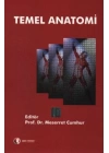 Temel Anatomi