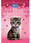 Terk Edilmiş Kedi Yavrusu