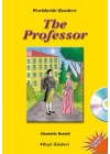 The Professor - Level 6 (CDli)