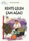 Tomurcuk 4-Kente Gelen Çam Ağacı