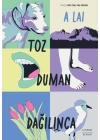 Toz Duman Dağılınca