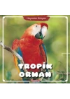 Tropik Orman - Hayvanlar Dünyası