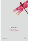 Türbülans
