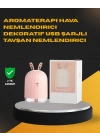 USB Bağlantılı Sessiz Çalışan LED Işıklı Nemlendirici Difüzör 200 ml