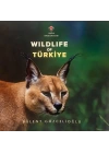 Wıldlıfe Of Türkiye