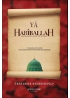 Ya Habiballah
