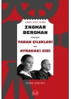 Yaban Çilekleri - Aynadaki Gibi