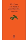 Yanardağın Üstündeki Kuş