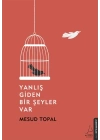 Yanlış Giden Bir Şeyler Var