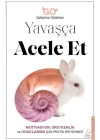 Yavaşça Acele Et