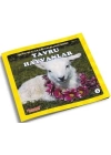 Yavru Hayvanlar - Benim Hayvan Arkadaşlarım Dizisi 3