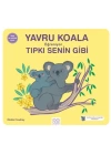 Yavru Koala Öğreniyor Tıpkı Senin Gibi