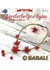 Yörelerle İğne Oyası - Mudurnu Yöresi