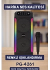 Yüksek Ses Güçlü Kablosuz Hoparlör  Karaoke Mikrofonlu