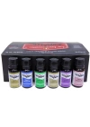 Zen Assorted Fragrance Oil 24lü Set