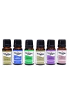 Zen Assorted Fragrance Oil 24lü Set