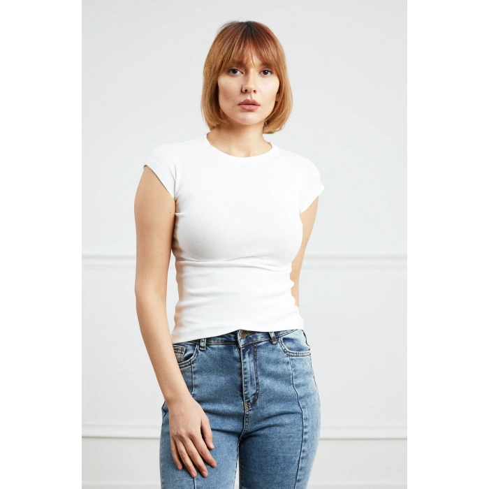 Basic Body
