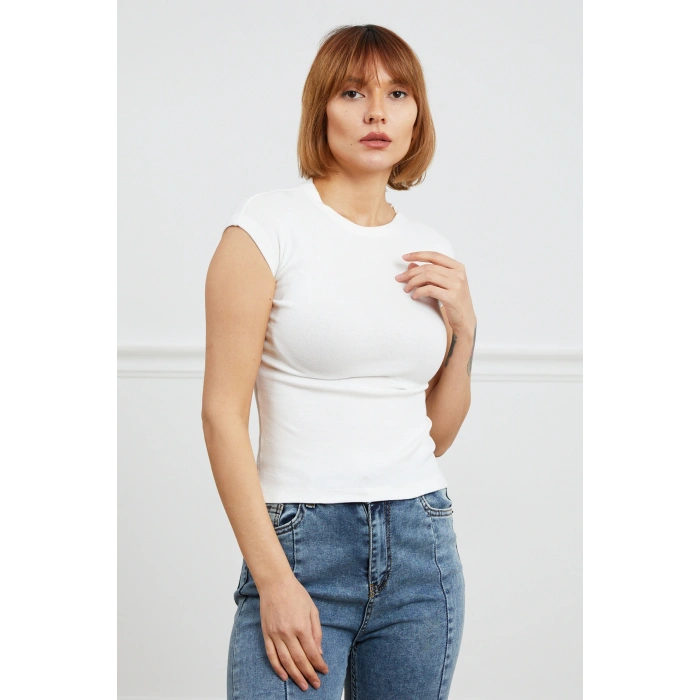 Basic Body