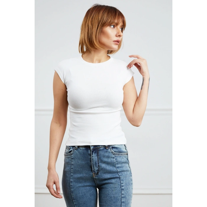 Basic Body