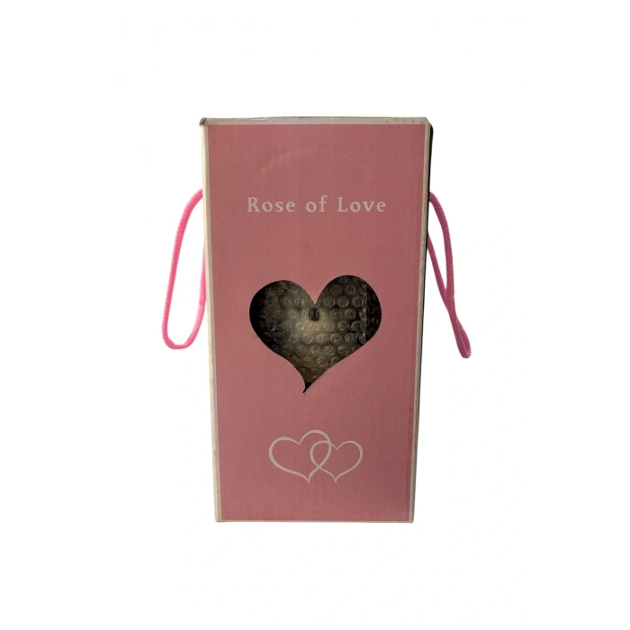 Fanus İçinde Gül Led Işıklı